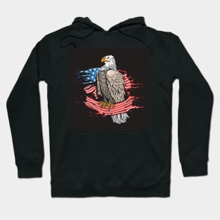 American eagle Hoodie